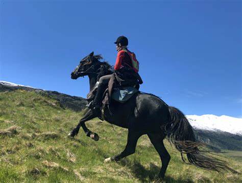 Louisburgh-Horse-Riding
